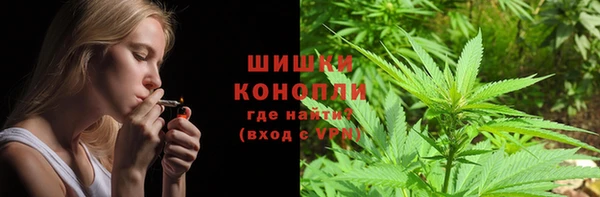 мет Инта
