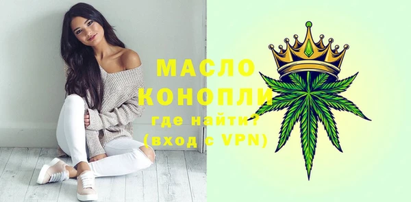 мет Инта