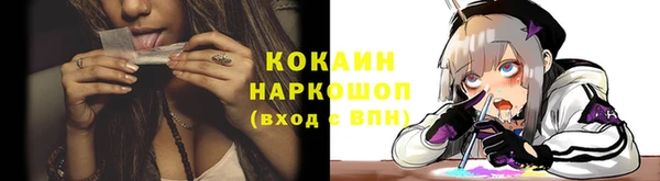 мет Инта