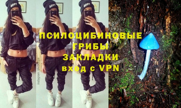 мет Инта