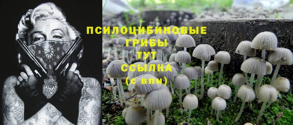 скорость Инсар